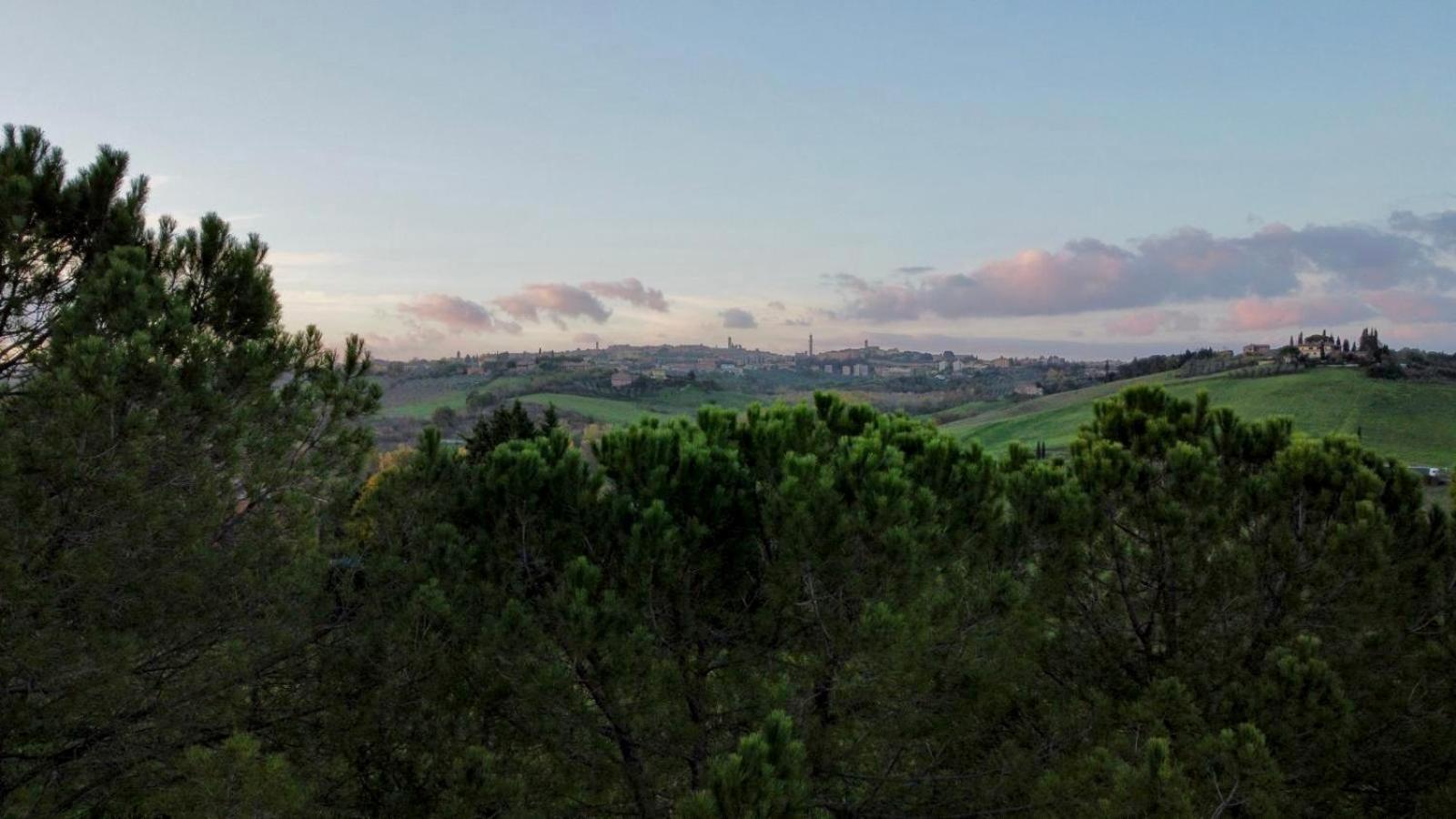 Agriturismo La Terrazza Sul Mangia Siena Buitenkant foto