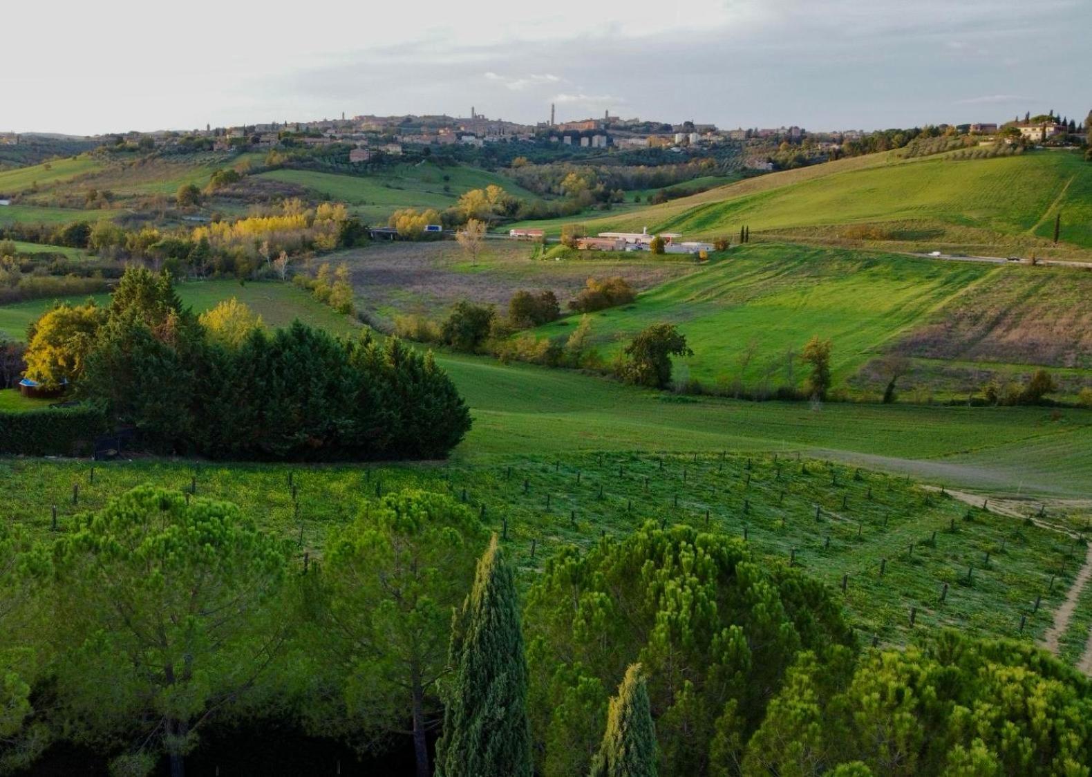 Agriturismo La Terrazza Sul Mangia Siena Buitenkant foto