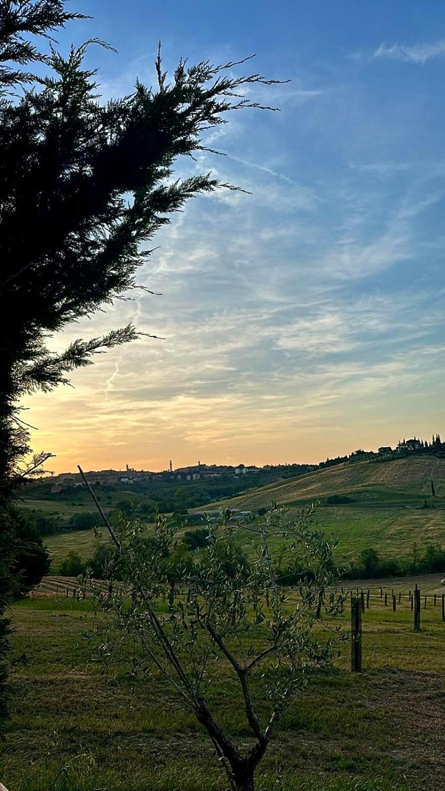 Agriturismo La Terrazza Sul Mangia Siena Buitenkant foto