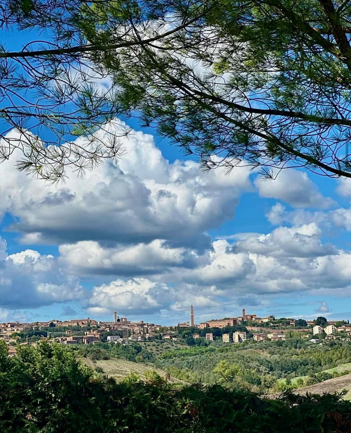 Agriturismo La Terrazza Sul Mangia Siena Buitenkant foto